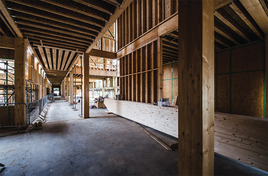 The Cygnum timber frame structure, primarily made of locally grown pine