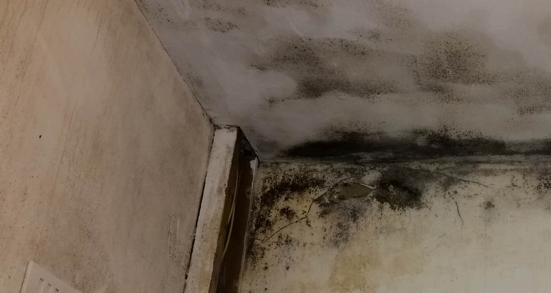Mould diagnosed as caused by lack of air circulation