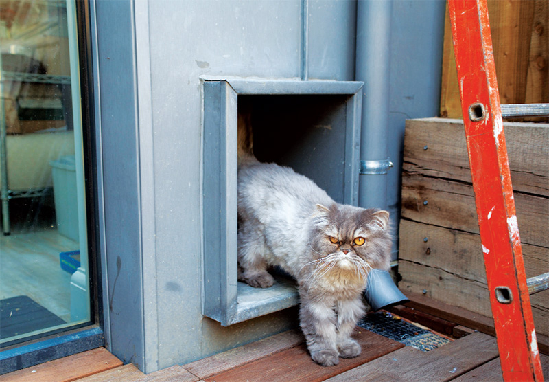 An airtight catflap was installed to give the pets access to the house