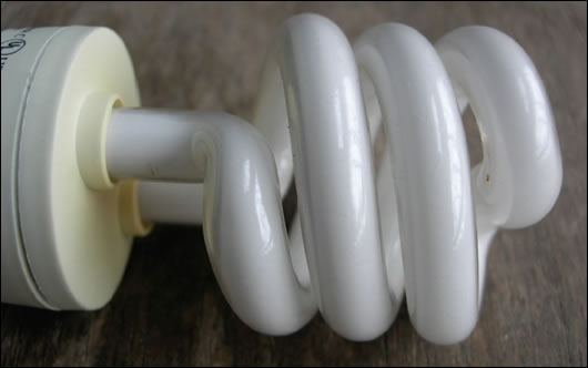 CFL bulbs can reduce energy use for lighting by 80% and their life cycle shows them to be a better investment by far