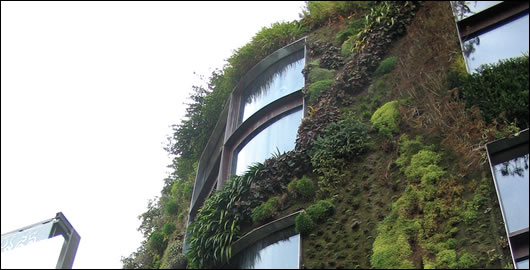  Patrick Blanc's living wall at the Musée du quai Branly in Paris